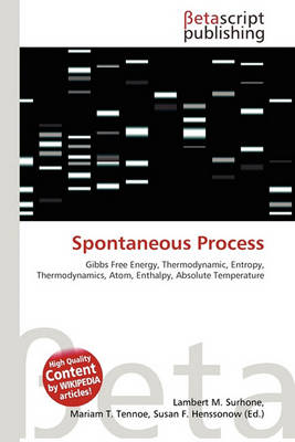 Cover of Spontaneous Process