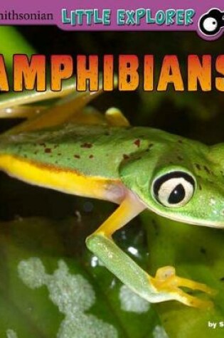 Cover of Amphibians: a 4D Book (Little Zoologist)