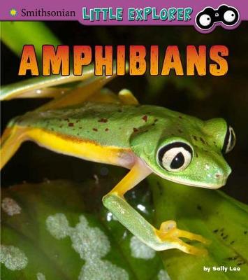 Book cover for Amphibians: a 4D Book (Little Zoologist)