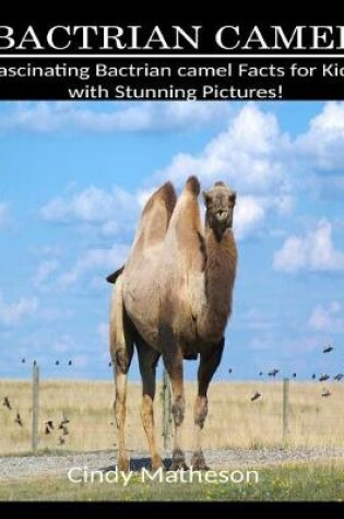 Cover of Bactrian Camel