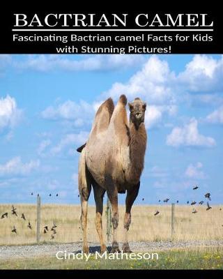 Book cover for Bactrian Camel