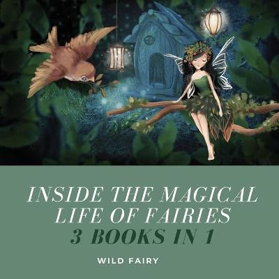 Book cover for Inside the Magical Life of Fairies