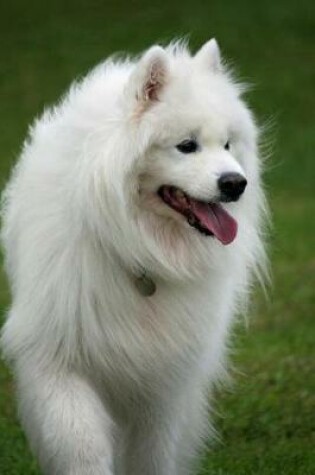 Cover of Samoyed