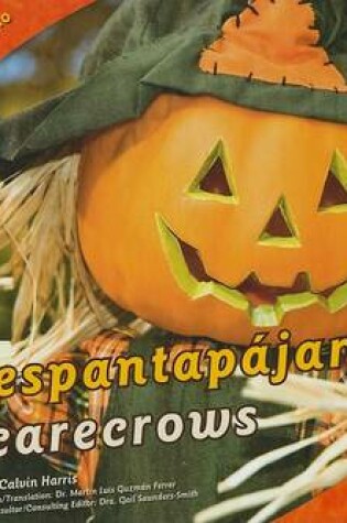 Cover of Los Espantap�jaros/Scarecrows