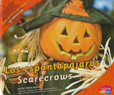 Cover of Los Espantap�jaros/Scarecrows