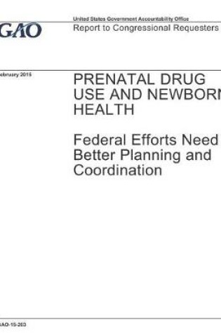 Cover of Prenatal Drug Use and Newborn Health