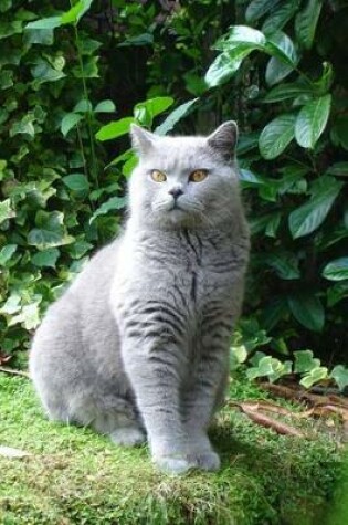 Cover of Blue British Shorthair Cat Strikes a Pose Journal