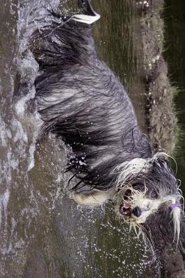 Book cover for Bearded Collie Splashing in the Water Journal