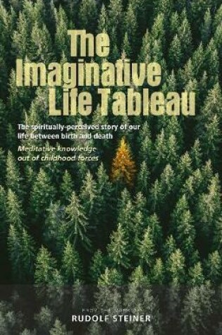 Cover of The Imaginative Life Tableau