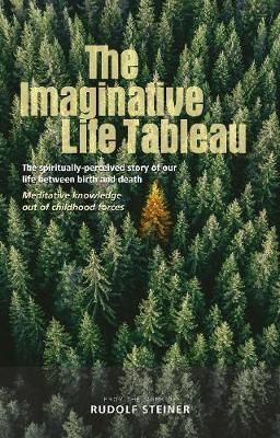 Book cover for The Imaginative Life Tableau