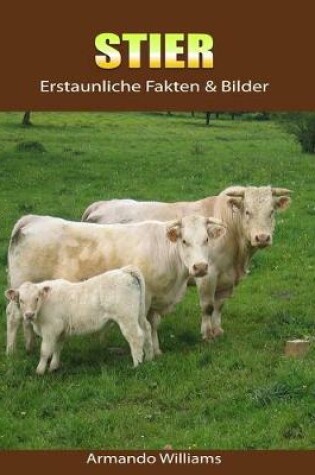 Cover of Stier