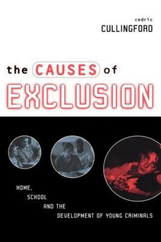 Cover of Causes of Exclusion, The: Home, School and the Development of Young Criminals