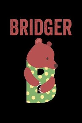 Book cover for Bridger