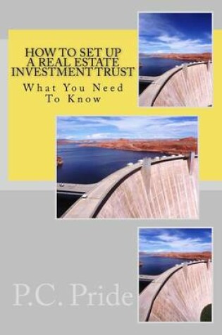 Cover of How To Set Up A Real Estate Investment Trust