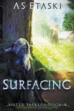 Cover of Surfacing