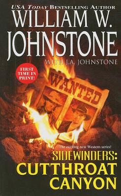 Cover of Sidewinders