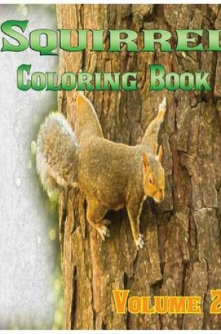 Cover of Squirrel Coloring Books Vol.2 for Relaxation Meditation Blessing