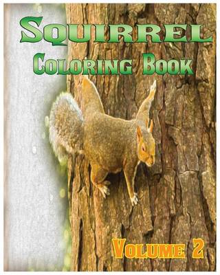 Book cover for Squirrel Coloring Books Vol.2 for Relaxation Meditation Blessing