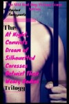 Book cover for The 'at Night, Convicts Dream of Silhouetted Caresses Betwixt Their Weary Bodies' Trilogy