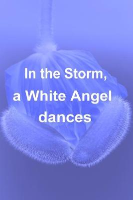 Book cover for In the Storm, a white Angel dances