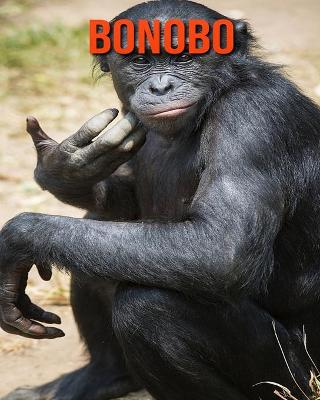 Book cover for Bonobo