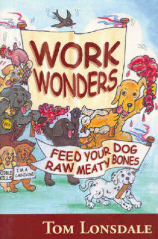 Cover of Work Wonders