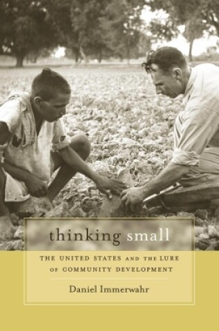 Cover of Thinking Small