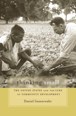 Book cover for Thinking Small