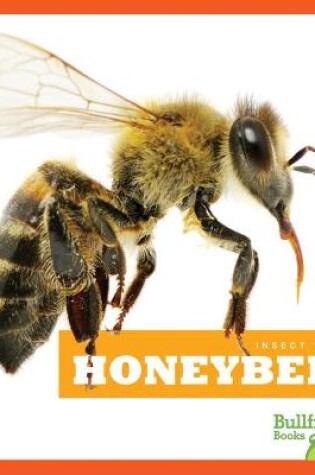 Cover of Honeybees