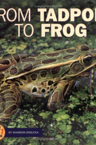 Cover of From Tadpole to Frog