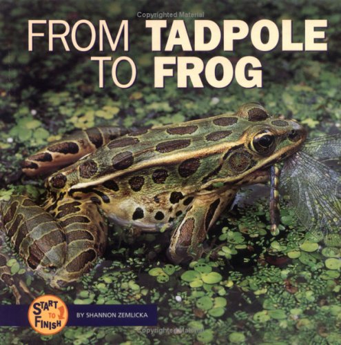 Book cover for From Tadpole to Frog
