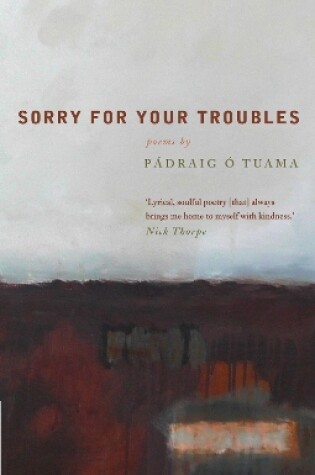 Cover of Sorry For Your Troubles