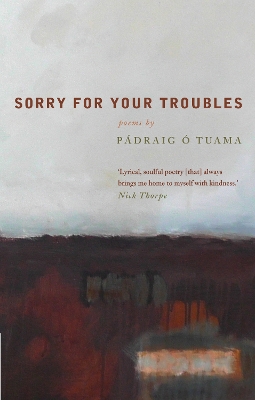 Book cover for Sorry For Your Troubles