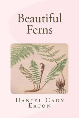 Cover of Beautiful Ferns