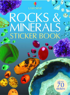 Book cover for Rocks and Minerals