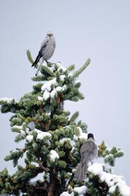 Cover of Journal Birds Snowy Tree