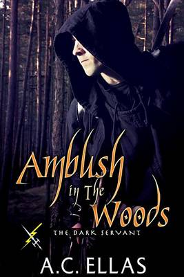 Book cover for Ambush in the Woods
