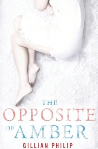 Cover of The Opposite of Amber