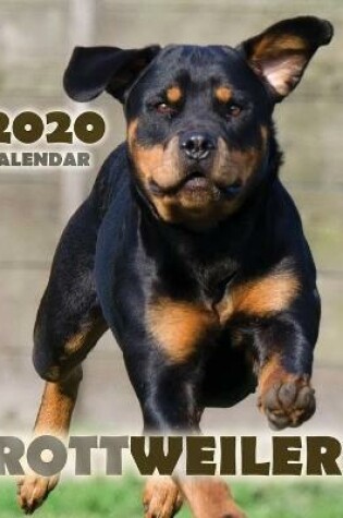 Cover of Rottweiler 2020 Calendar
