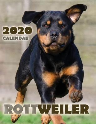 Book cover for Rottweiler 2020 Calendar