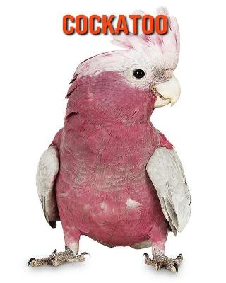 Book cover for Cockatoo