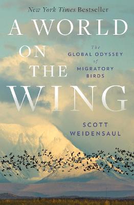 Book cover for A World on the Wing