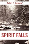 Book cover for Spirit Falls