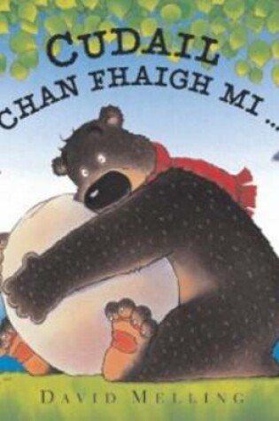 Cover of Cudail Chan Fhaigh Mi