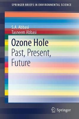 Book cover for Ozone Hole