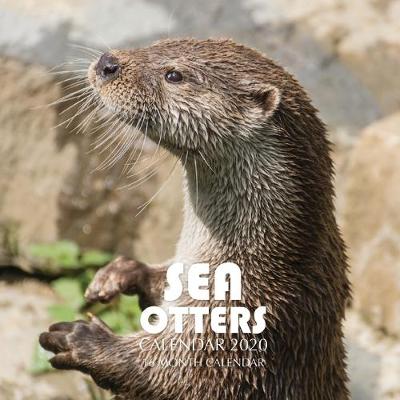 Book cover for Sea Otters Calendar 2020