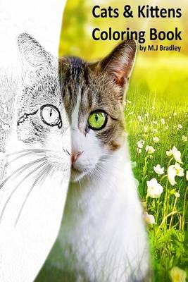 Book cover for Cats & Kittens