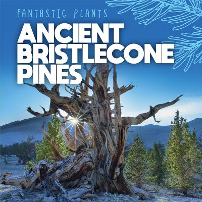 Book cover for Ancient Bristlecone Pines
