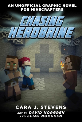 Book cover for Chasing Herobrine