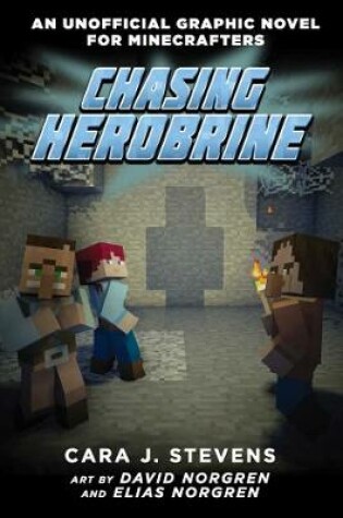 Cover of Chasing Herobrine